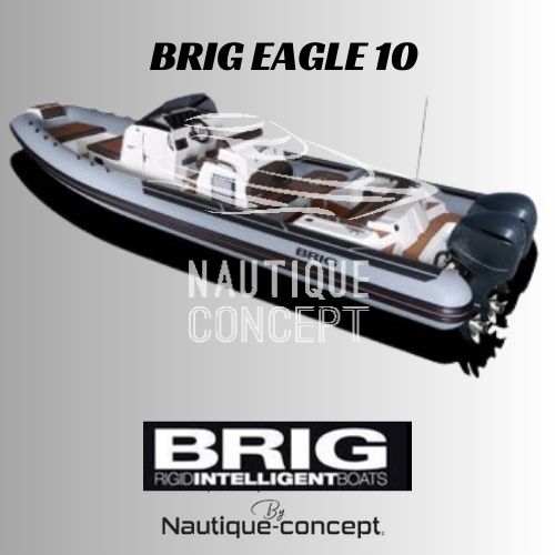 Brig Eagle 10